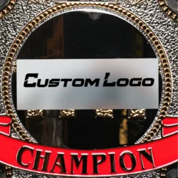 AEW TNT Championship Replica Belt