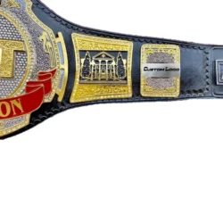 AEW TNT championship replica belt side plate
