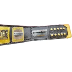 AEW TNT championship replica belt side plate