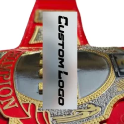 AEW TNT Championship Replica Belt
