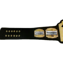 AEW World Tag Team Wrestling Championship side plate