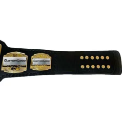 AEW World Tag Team Wrestling Championship side plates