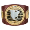 NXT North American Championship replica belt
