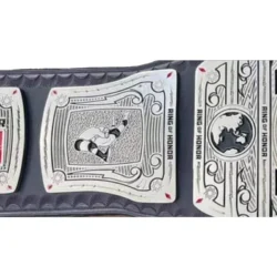 ROH World Championship Wrestling (1)