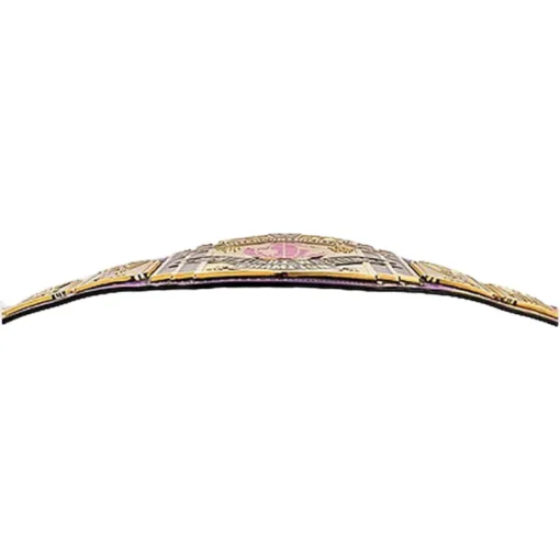 Razor Ramon Signature Series Championship Customized Title ...
