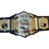 TNA World Tag Team Championship Belt Replica
