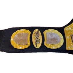 TNA World Heavyweight Championship Belt