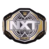 WWE NXT Championship 2024 Replica Title Belt