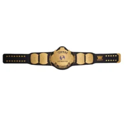 Winged Eagle WWE Custom Title Belt (3)