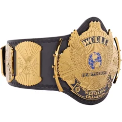 Winged Eagle WWE Custom Title Belt (4)