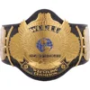 Winged Eagle WWE Custom Title Belt