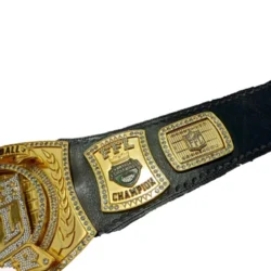 Fantasy Football Championship Belt (3)