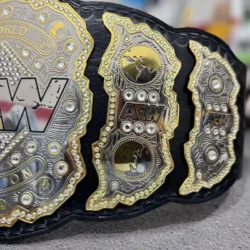 AEW World Championship Replica Belt side plates