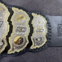 AEW World Championship Replica Belt side plates