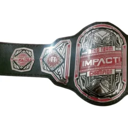 Impact Tag Team Championship Title Belt (2)