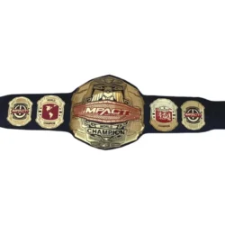 Impact Wrestling World Championship Belt, TNA Replica Title (3)