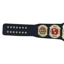 Impact Wrestling World Championship Belt, TNA Replica Title (4)
