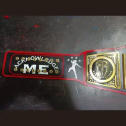 Custom WWE Universal Championship Belt (2)