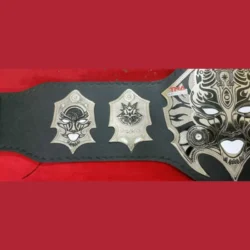 custom TNA jeff hardy championship belt (2)