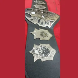 custom TNA jeff hardy championship belt (3)