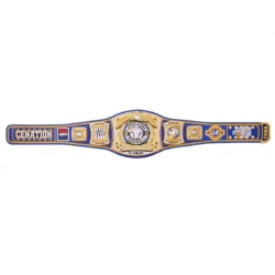 John Cena 2025 Money In The Bank Los Angeles championship belt